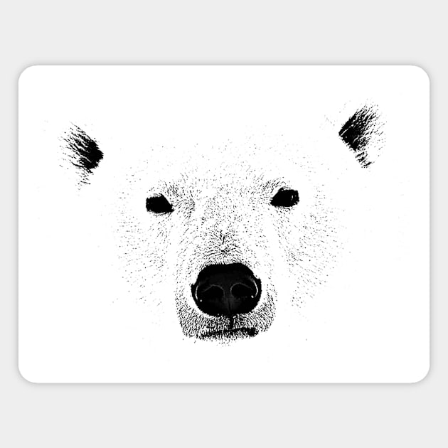 polar bear Magnet by pholange